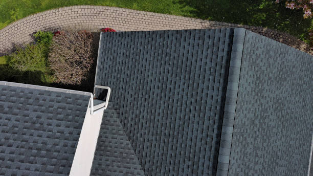 Best Skylight Installation and Repair  in Altamont, NY